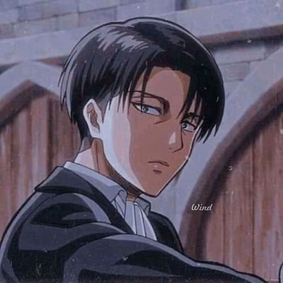 Levi Ackerman photo