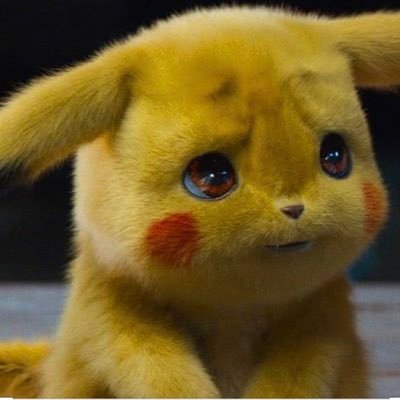 deniz_walc's profile picture. 