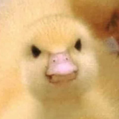 jd_manny's profile picture. JW.                                                                Sometimes you gotta feed your stomach what it wants.