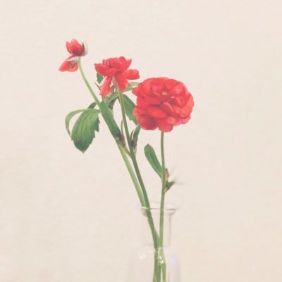 mcot_88's profile picture. 