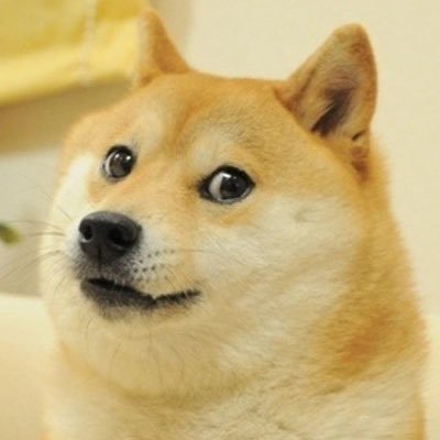 Follow us if you own Doge coin.