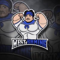 West Gaming(@Awest_gaming) 's Twitter Profile Photo