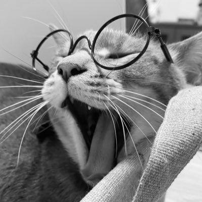 chihirokym's profile picture. （育休中）BASEで Designマネージャーをしています。高専→美大→Web制作会社→スタートアップ→BASE⛺️