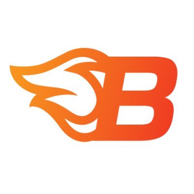 BitBlaze