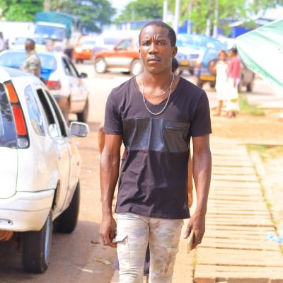 allelaalbert's profile picture. 