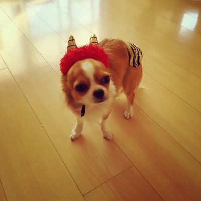 HILO43996532's profile picture. 