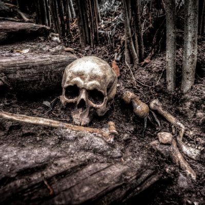 HobHobHorror's profile picture. Horror Hunting