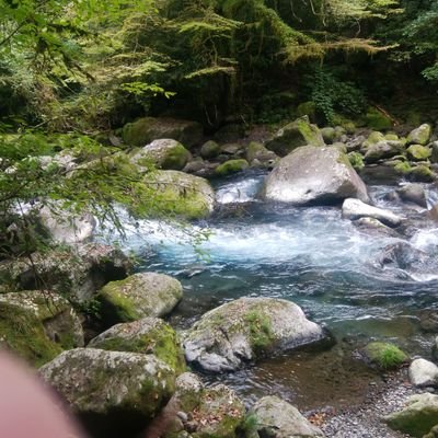 初めまして!皆さんの『つぶやき』を楽しみに拝見させて頂いて共有していきたいで~す(*^^*)現在は介護福祉士として施設勤務で何とか頑張ってます!趣味は海外サッカーを見る事、詰将棋等々・・・皆さんの『いい言葉』に出会いたいで~す(^-^)/