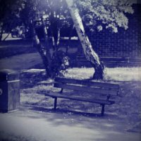 Haunted Bench Project(@SundaeGloomy) 's Twitter Profile Photo