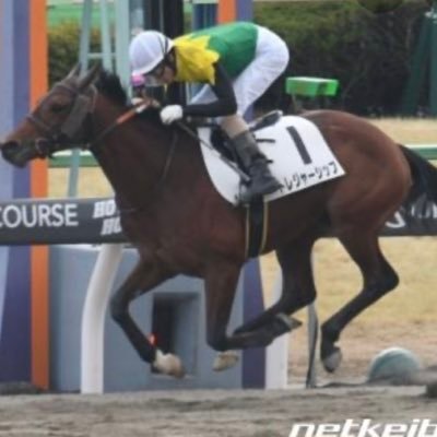 casshern0305's profile picture. 買い方は3連単です。主にメインレースの予想をあげています。地方競馬もやっています。競馬好きの方はフォローお願いします。