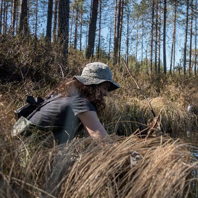 Academy research fellow. Studying anthropogenic impacts on waterbirds & wetlands #ecotox #brownification  Univ. of Turku, FIN. Freshwater ecosystems ☮️🕊️