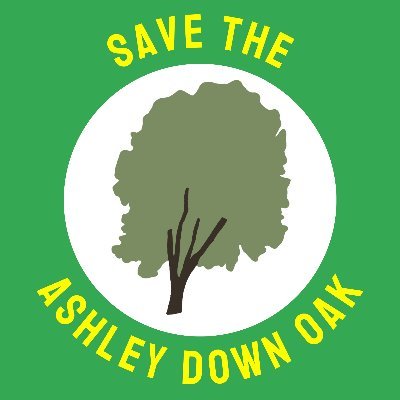 Successful campaign to stop Bristol City Council's attempts to fell our beloved 120-year-old holm oak tree. 🌳 💚 🌳
