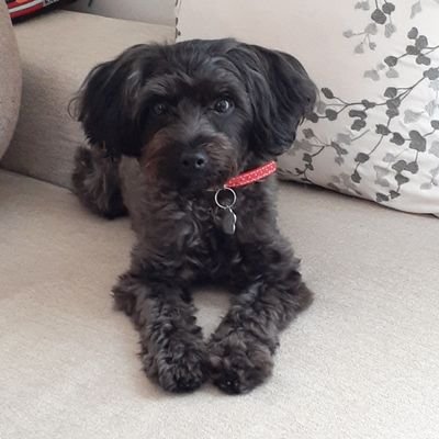 takezou0302's profile picture. 休みの日にはテニスかゴルフ。テニスはそこそこ、ゴルフはまだまだ…。さいたま市在住。