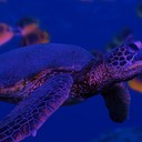 THOMAS DUNNE - @THOMASLEE79 - Twitter