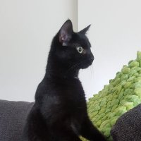 ElsDK (@whazzzzzupppp) 's Twitter Profile