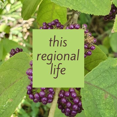 Information for people thinking about moving to regional Australia - live, work, stay, play, visit. Jobs, Real Estate, Community and Business opportunities.