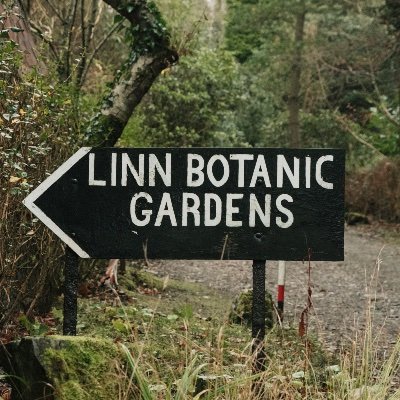 The Linn Botanic Garden