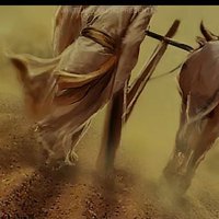 Kaur ✨🦋🕊💖 (@gur_veer_kaur) 's Twitter Profile