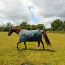 Donna-Marie Britton - @DonnaMarieBrit6 - Twitter