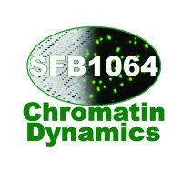 CRC 1064 Chromatin Dynamics(@crc_1064) 's Twitter Profile Photo