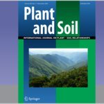 Plant and Soil