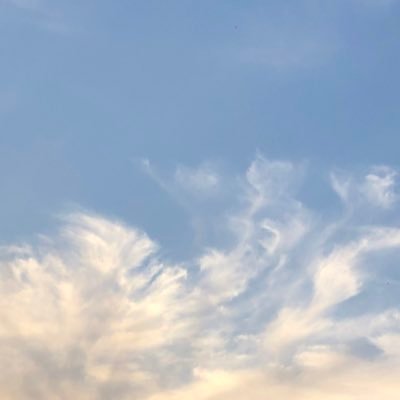 いちごさんのプロフィール画像