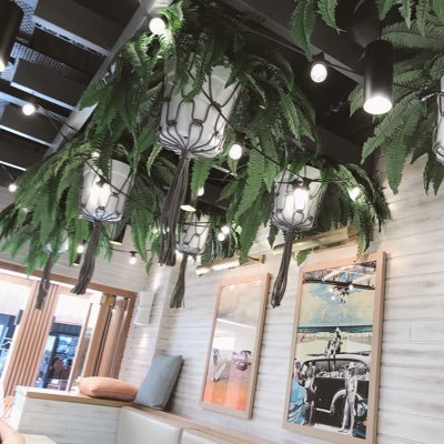 taro_22cheer's profile picture. 早慶22卒/広告/バンド、邦ロック🎸