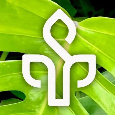 Selection of the most important news from & about the #Amazon Rainforest https://t.co/E4hEIN7Y28