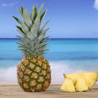 pineapple288 (@pineapple2881) 's Twitter Profile