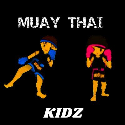 The MuayThai Kidz Program is a Age Specific, systematized and structured curriculum designed to help school owners with student retention.