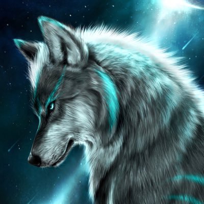 wolfywst's profile picture. 