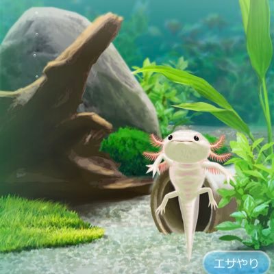 枕さんのプロフィール画像