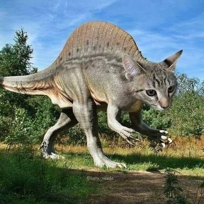 djauji's profile picture. alone