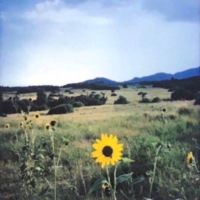 JaneLyn13934956's profile picture. 