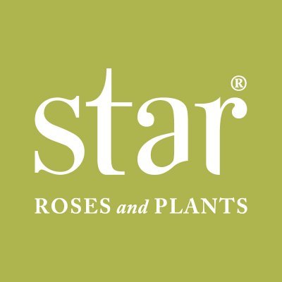 Bringing great plants to the world's gardens since 1897. Collections include The Knock Out® Family of Roses, Drift® Roses, Bushel and Berry®, and Bloomables®.