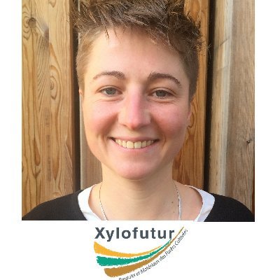 Chef de projet Bois Matériaux au sein du Pôle de Compétitivité Xylofutur - Accompagnement au montage de projets innovants et à leurs financements