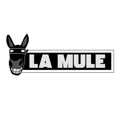 LaMuleMedia Profile Picture