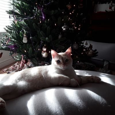 TheRealPaulineT's profile picture. 