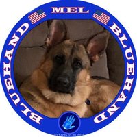 🌷🌿 🇺🇸 Mel 🩺 🇺🇸 🌿🌷 (@melbrenton11) 's Twitter Profile