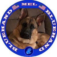 🌷🌿 🇺🇸 Mel 🩺 🇺🇸 🌿🌷(@melbrenton11) 's Twitter Profile Photo