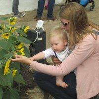 Emma Williams (@botanyem) 's Twitter Profile Photo Emma Williams (@botanyem) 's Twitter Profile Photo
