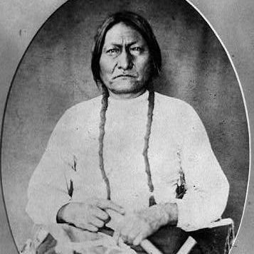 oturanboga1890's profile picture. 🎲