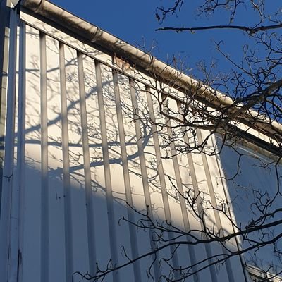 Playaccount9's profile picture. bio