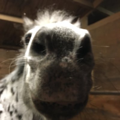 Karis91379621's profile picture. Has the world gone mad?