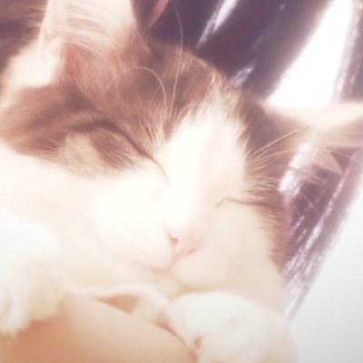 ひなむんさんのプロフィール画像