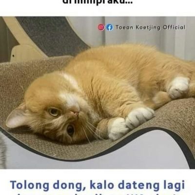 Toni75694346's profile picture. 