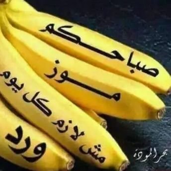 ٣٤