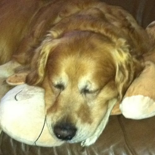 DerWoNieDoIs's profile picture. Vergib Deinen Feinden... ... aber merke Dir ihre Adresse... ;-)