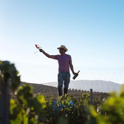 Productor de Vino Mexicanos Vino Experiencia y @vinomardefondo
Todos Los Vinos Tienen Historia, Tienen un Pasado y Un Futuro. By
