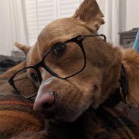 Dana Klatt Shaw (@danashawsome) 's Twitter Profile